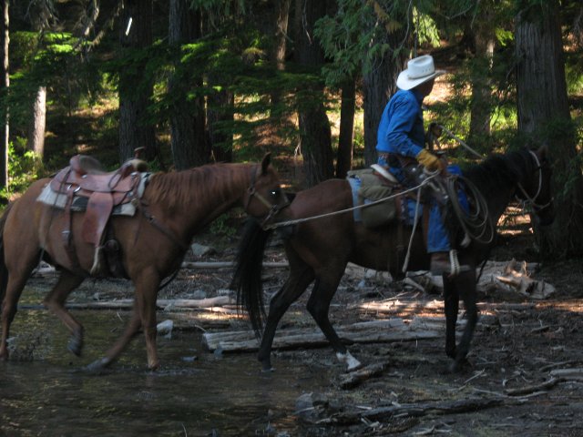 8.26-27.06 Twin Lakes & Palmateer Point 020 